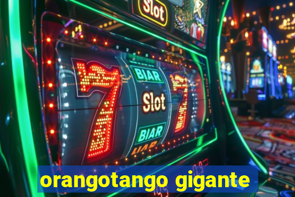 orangotango gigante